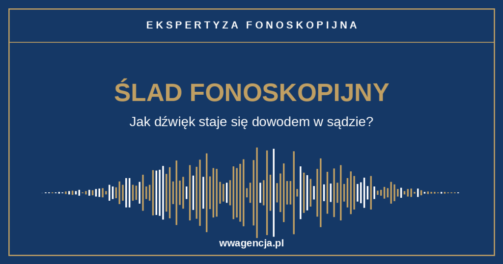 fonoskopia, dzwiek to dowod w sadzie