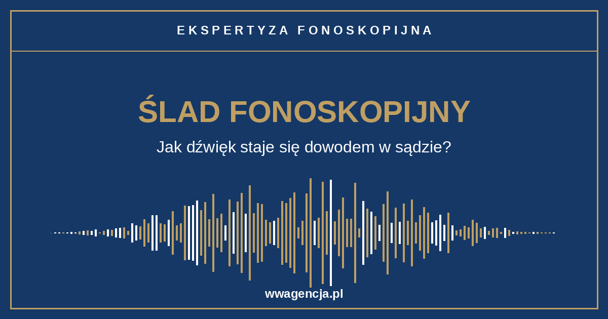 Phonoscopic trace: How sound becomes hard evidence in court?